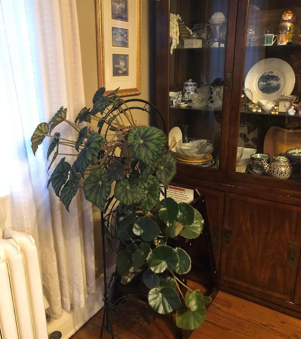 Ambassador B&B Ottawa